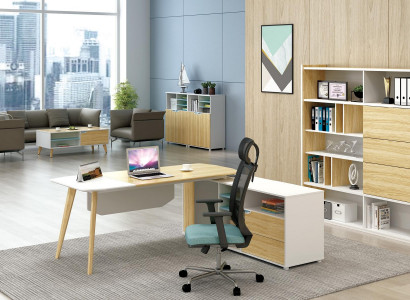 Desk & Filing Cabinet Office Furniture 2-piece. Executive Shelf Set Desk